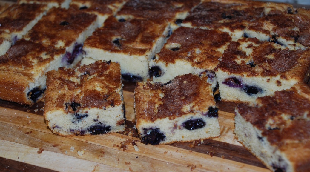 Blueberry Snack Cake